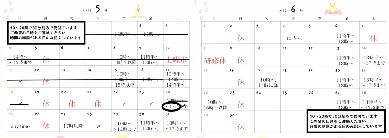 2025年5月6月スケジュール