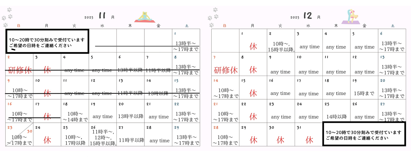 2025年11月12月スケジュール